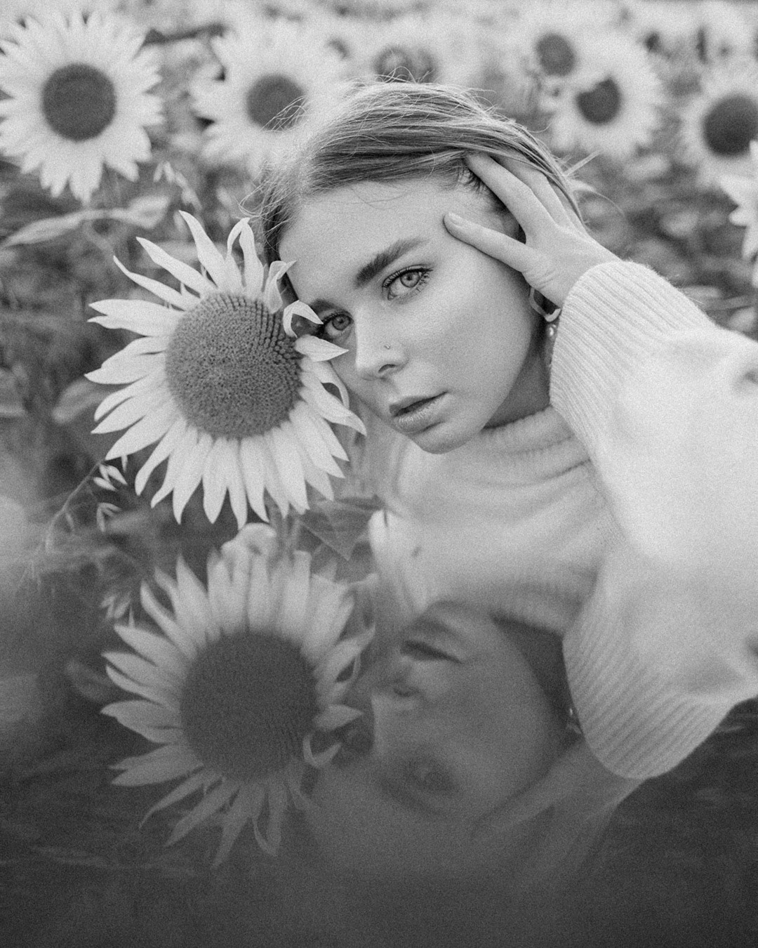August. Sunflowers. Family photograph in Munich Anastasia Vorobtsova