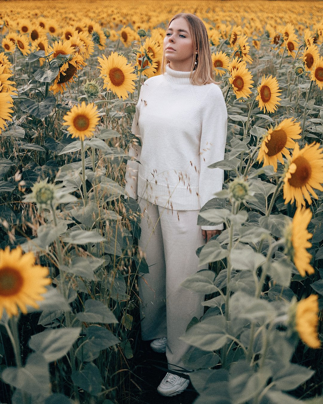 August. Sunflowers. Family photograph in Munich Anastasia Vorobtsova