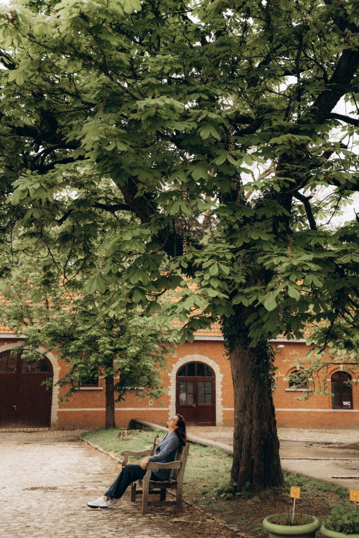 Female portrait session. Little Birdie – Jouw familie- en huwelijksfotograaf in België en daarbuiten