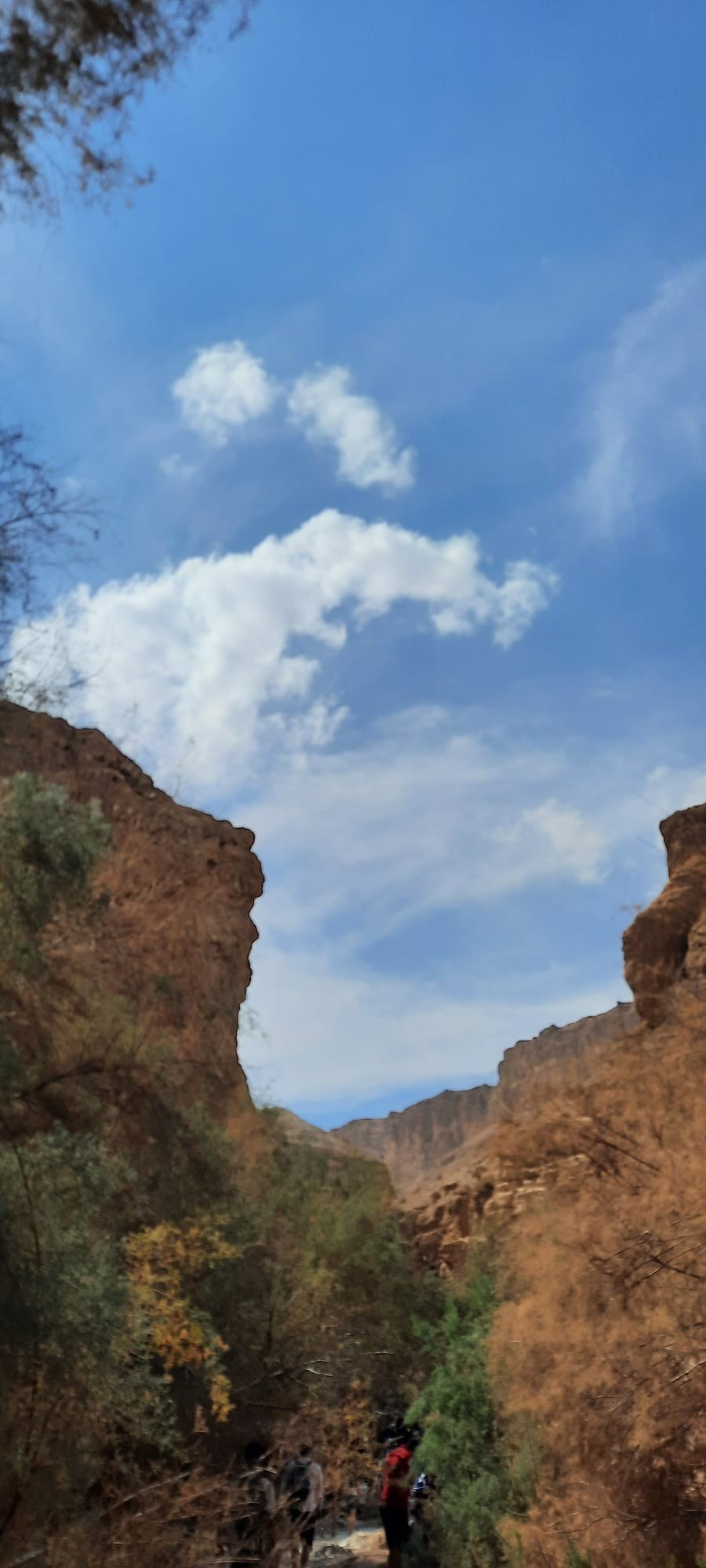 Женский поход 2024 — клуб «Нортман». КРиС «Нортман»