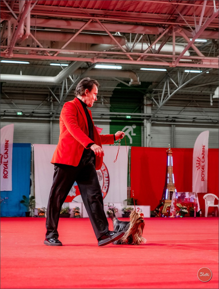 PDS  🇫🇷  Paris Dog Show  🇫🇷  Expo canine  10-11/01/2026. Photographe à Strasbourg | Portraits, Studio, Enfants, Événements
