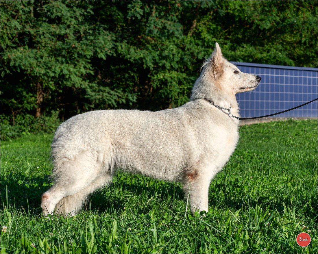 Domaine de la patte blanche. Photographe à Strasbourg | Portraits, Studio, Enfants, Événements