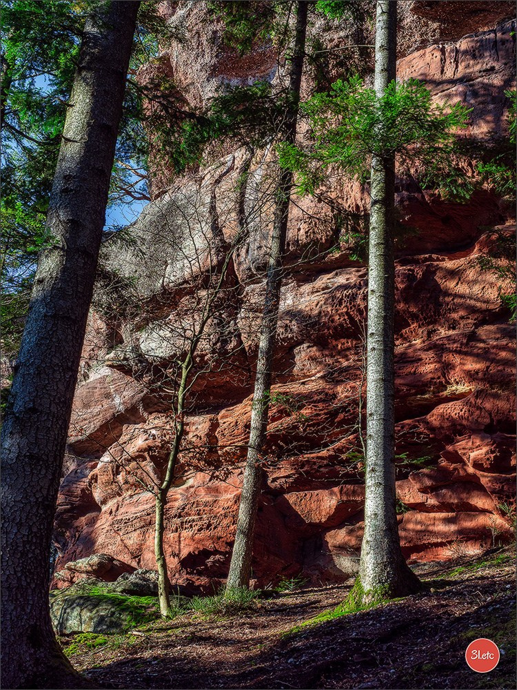 Une forêt, un rocher et un cimetière gallo-romain. Photographe à Strasbourg | Portraits, Studio, Enfants, Événements