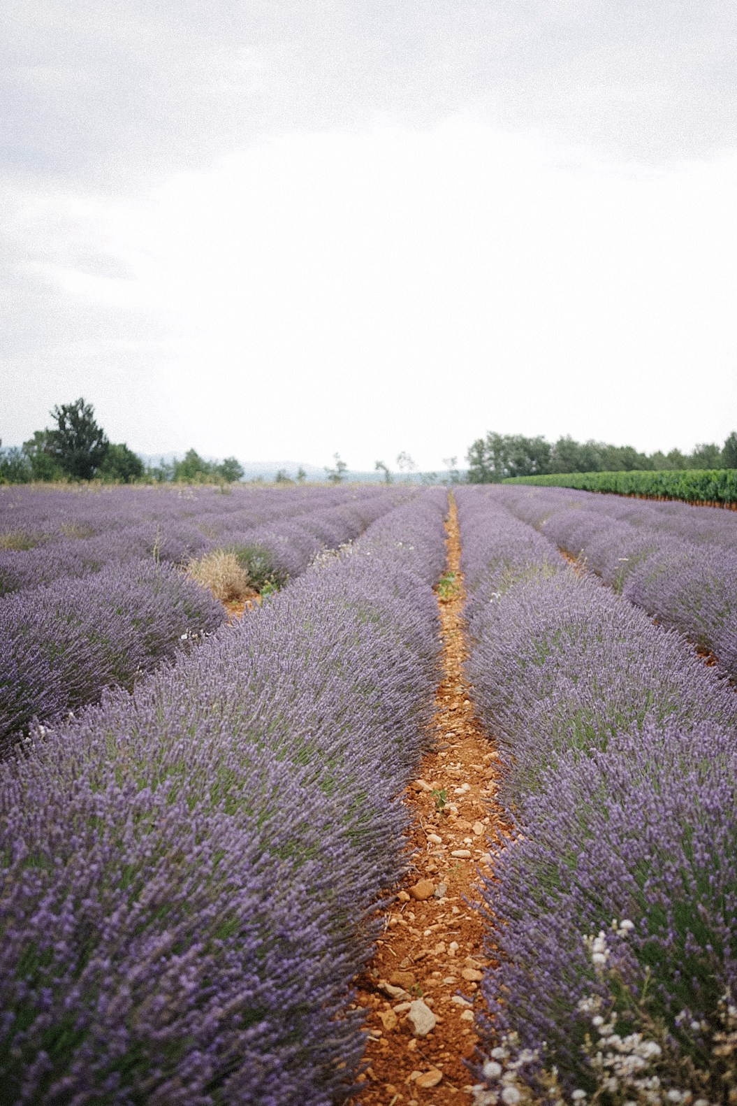 Le Verdon (Quinson, Esparron). Photographe à la Seyne sur Mer, Var