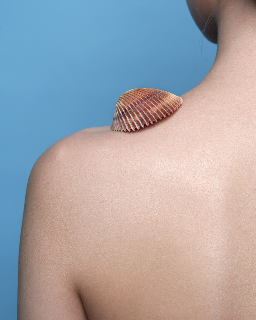 Beauty. Alireza Sahebi Photographer