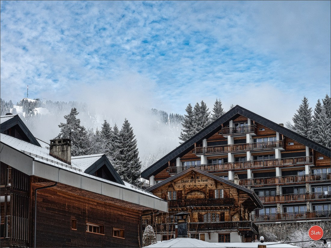 Swiss. Photographe à Strasbourg | Portraits, Studio, Enfants, Événements
