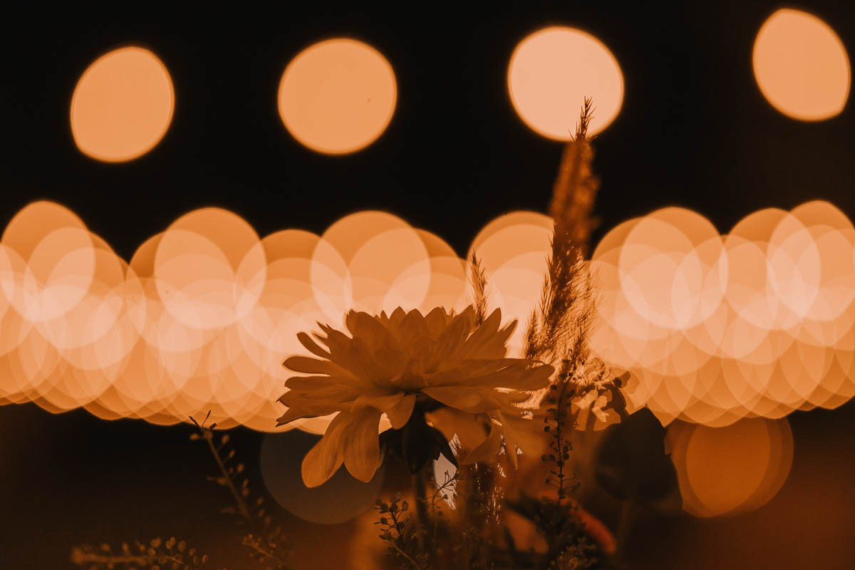 Francesco e Leonardo matrimonio presso la tenuta Le Risare Italia. Lorenzo Mazzega Wedding | Fotografo Matrimonio Milano | Reportage