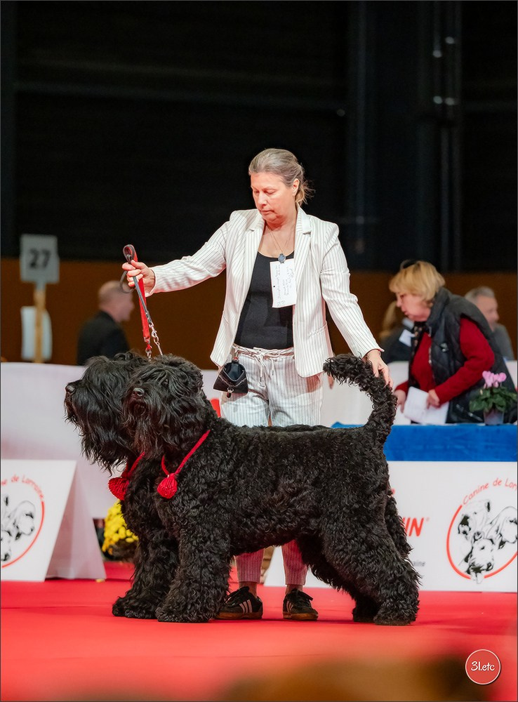 Expo canine  🇫🇷  Metz 08-09/11/2025. Photographe à Strasbourg | Portraits, Studio, Enfants, Événements
