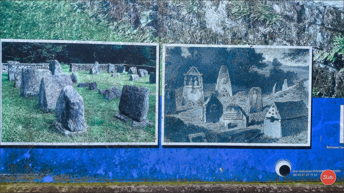 Une forêt, un rocher et un cimetière gallo-romain. Photographe à Strasbourg | Portraits, Studio, Enfants, Événements