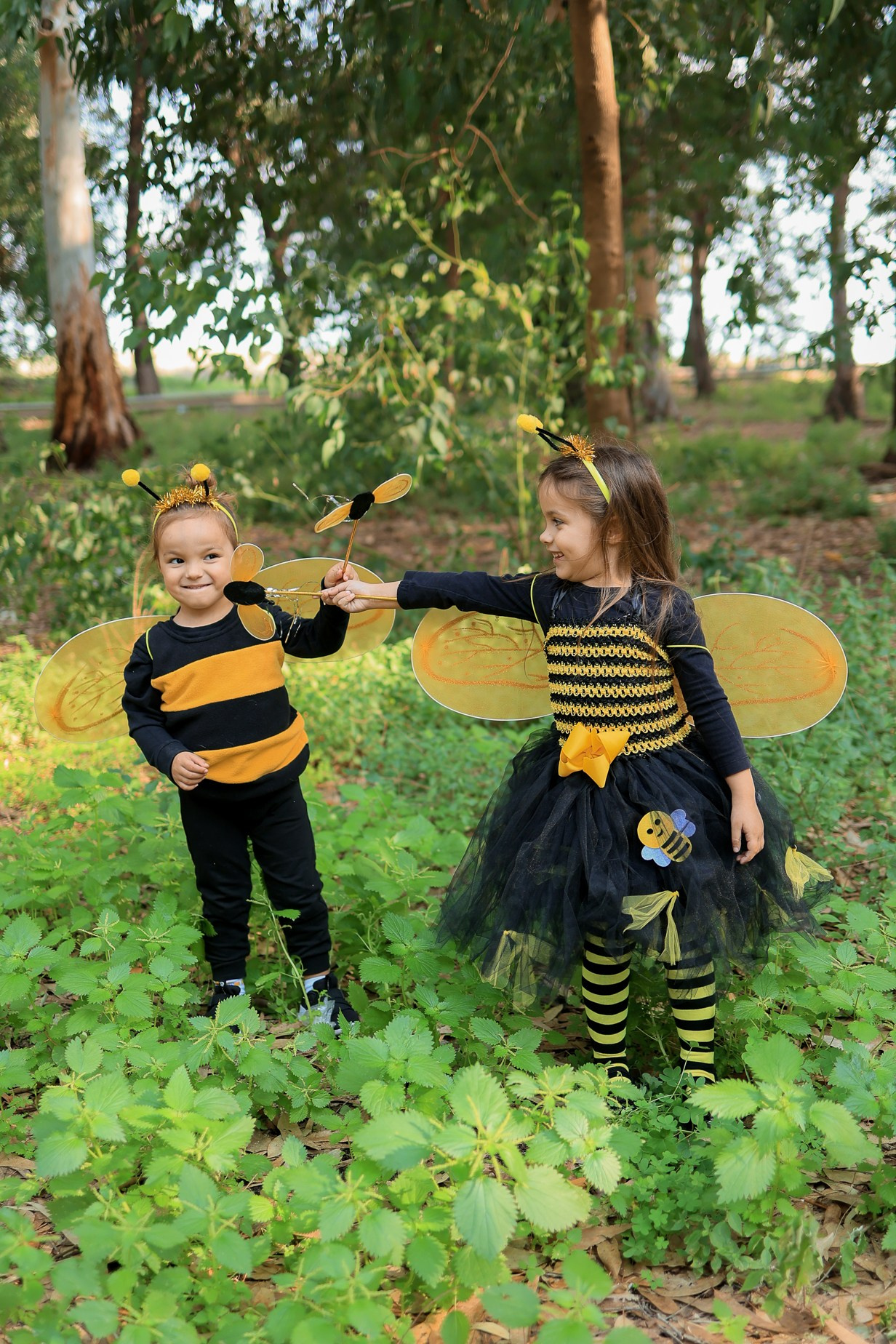 צילומי פורים בטבע. דף בית