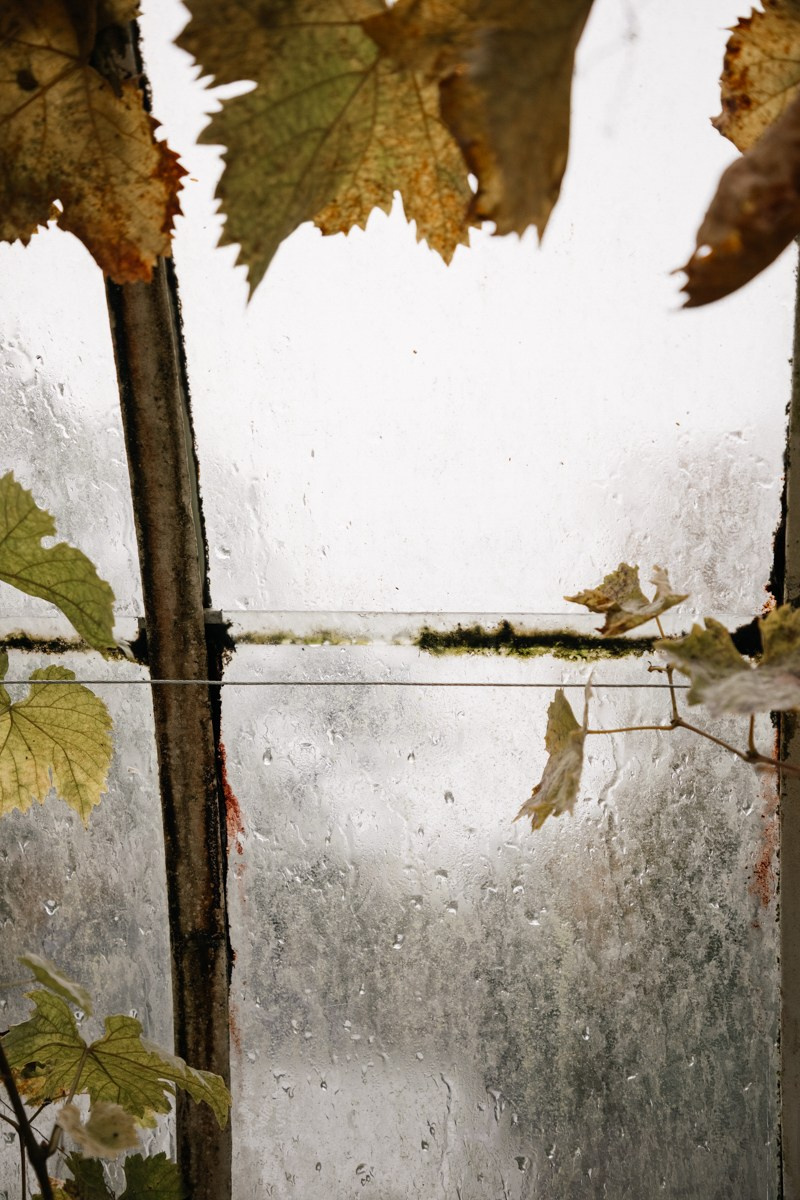 R & J Netherlands. Свадебный фотограф в Нидерландах и Европе — Тина Ялóва