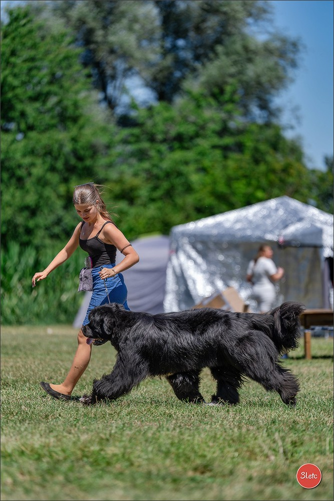 Dog Show - Hallbergmoos 🇩🇪 11-12/07/2026