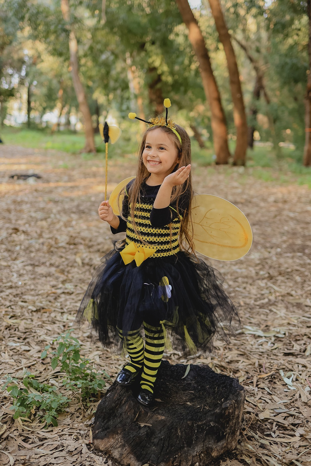 צילומי פורים בטבע. דף בית