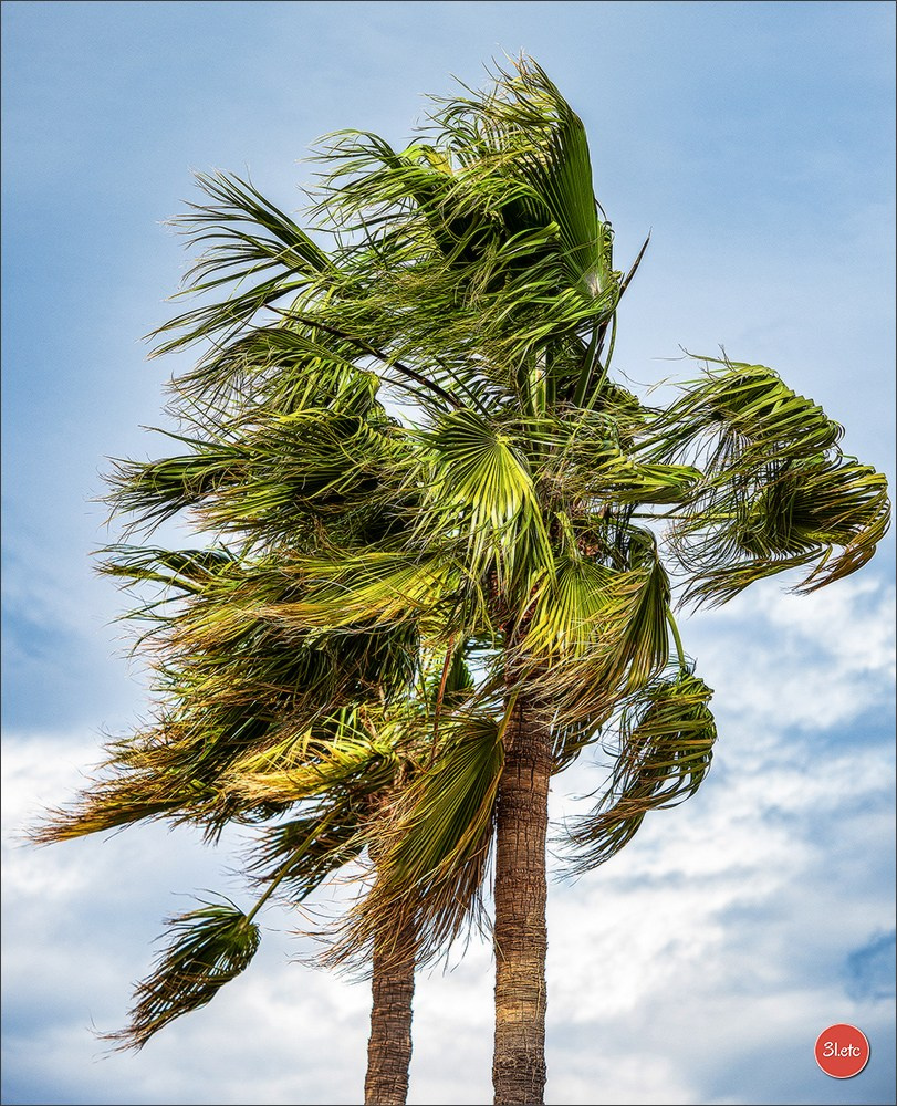 Martigues 19-20/04/2025. Photographe à Strasbourg | Portraits, Studio, Enfants, Événements