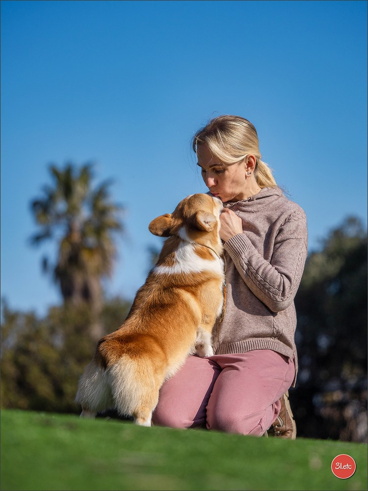 🇫🇷Exposition Canine Internationale de Perpignan. Photographe à Strasbourg | Portraits, Studio, Enfants, Événements