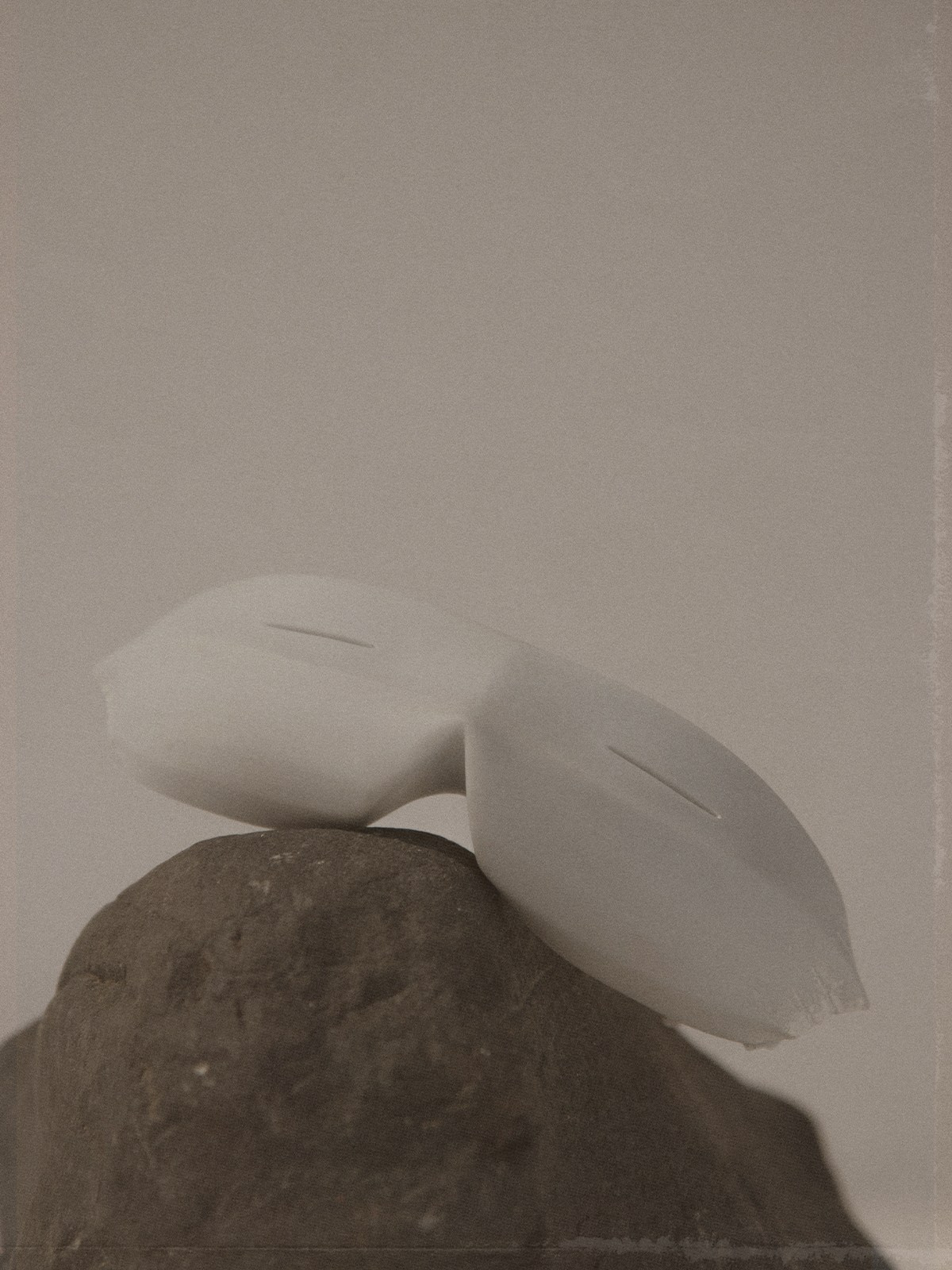 030. Palagina Ksusha, photographer in NY