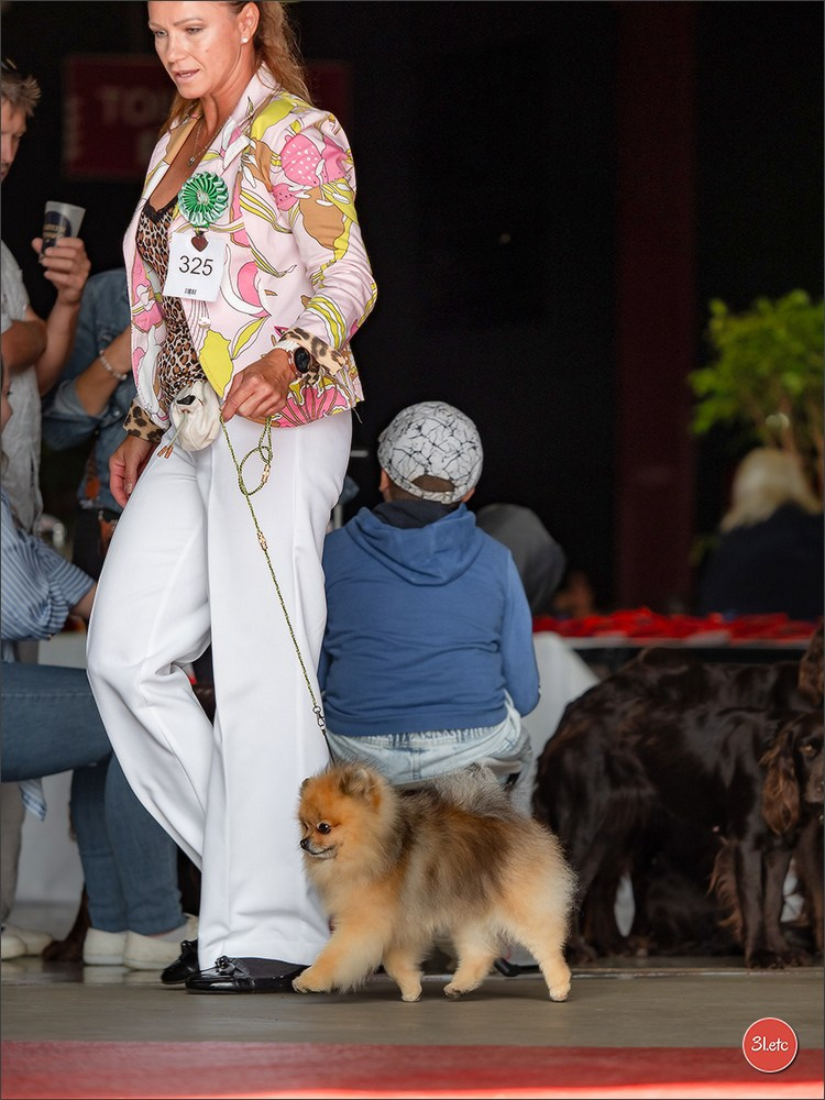 Expo canine 🇫🇷 MARGNY LES COMPIEGNE 06-07/09/2025. Photographe à Strasbourg | Portraits, Studio, Enfants, Événements