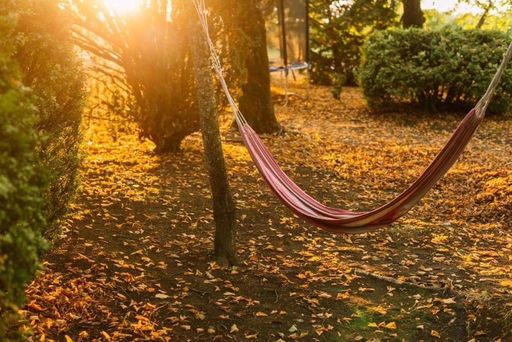 Vazisubani Estate. Главная