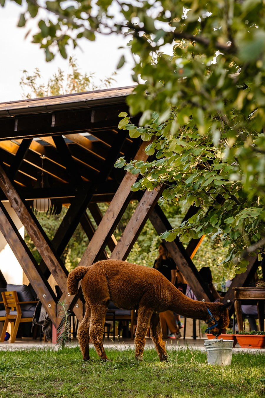 Fotografie Imobiliară Profesională | Birouri & Spații. Fotograf Corporate Business