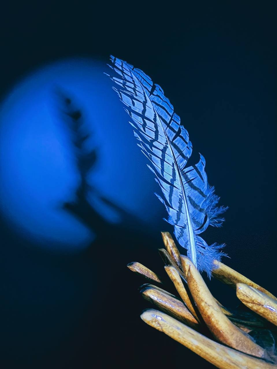 Работы учеников. Фотограф и преподаватель фотографии в Белграде