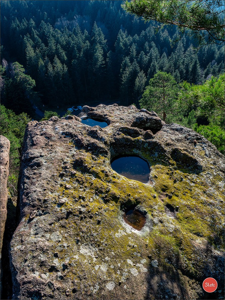 Une forêt, un rocher et un cimetière gallo-romain. Photographe à Strasbourg | Portraits, Studio, Enfants, Événements