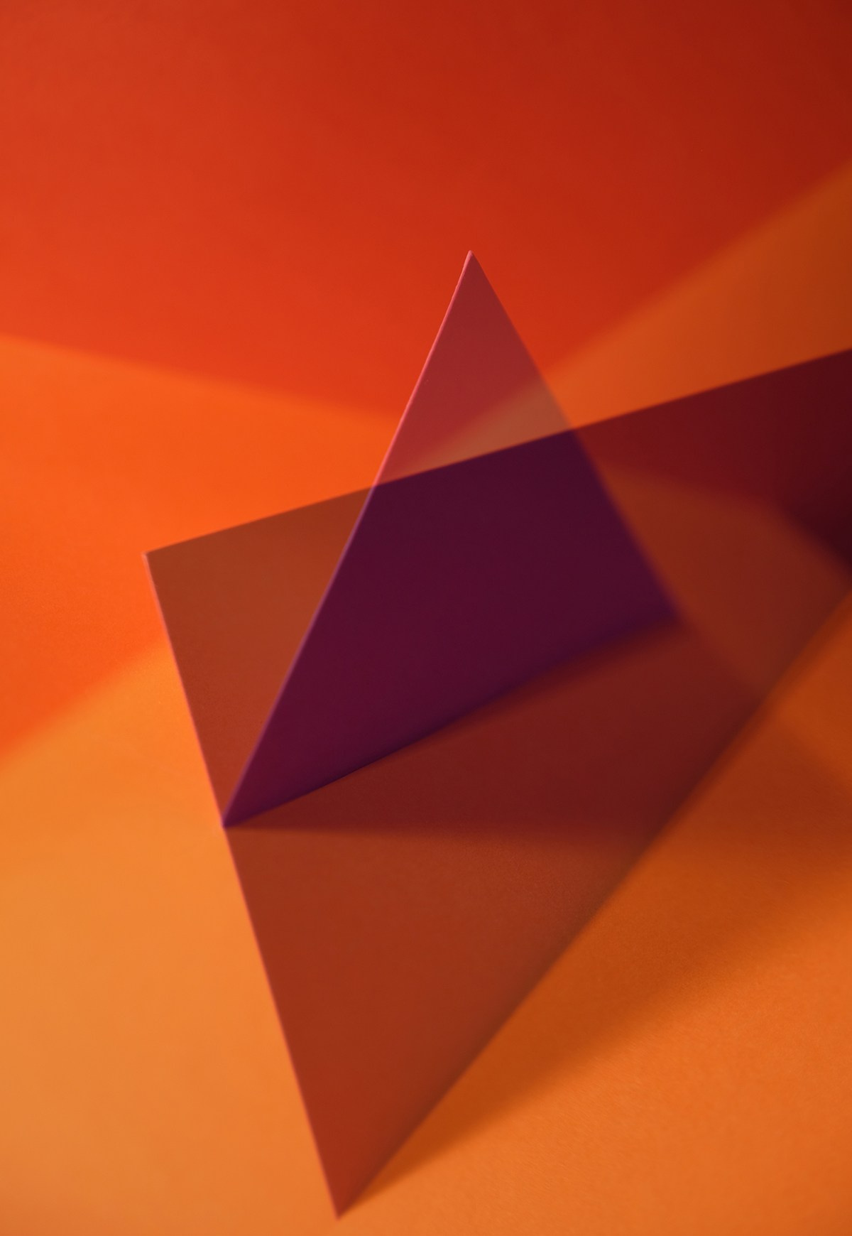 «Color». Фотограф, фотохудожник Олена Новгородцева