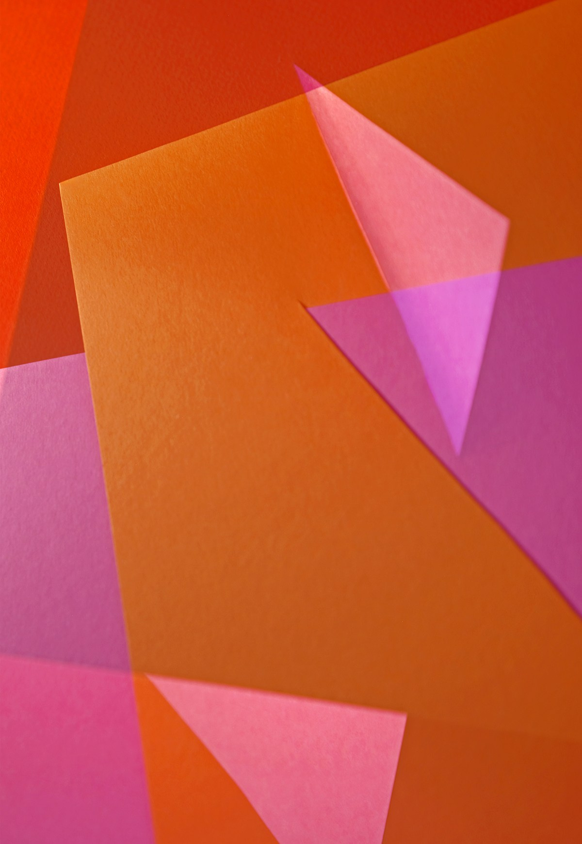 «Color». Фотограф, фотохудожник Олена Новгородцева