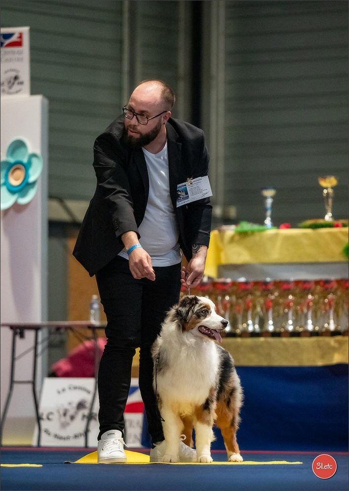 Expo canine   🇫🇷   Mulhouse 5-6/04/2025. Photographe à Strasbourg | Portraits, Studio, Enfants, Événements