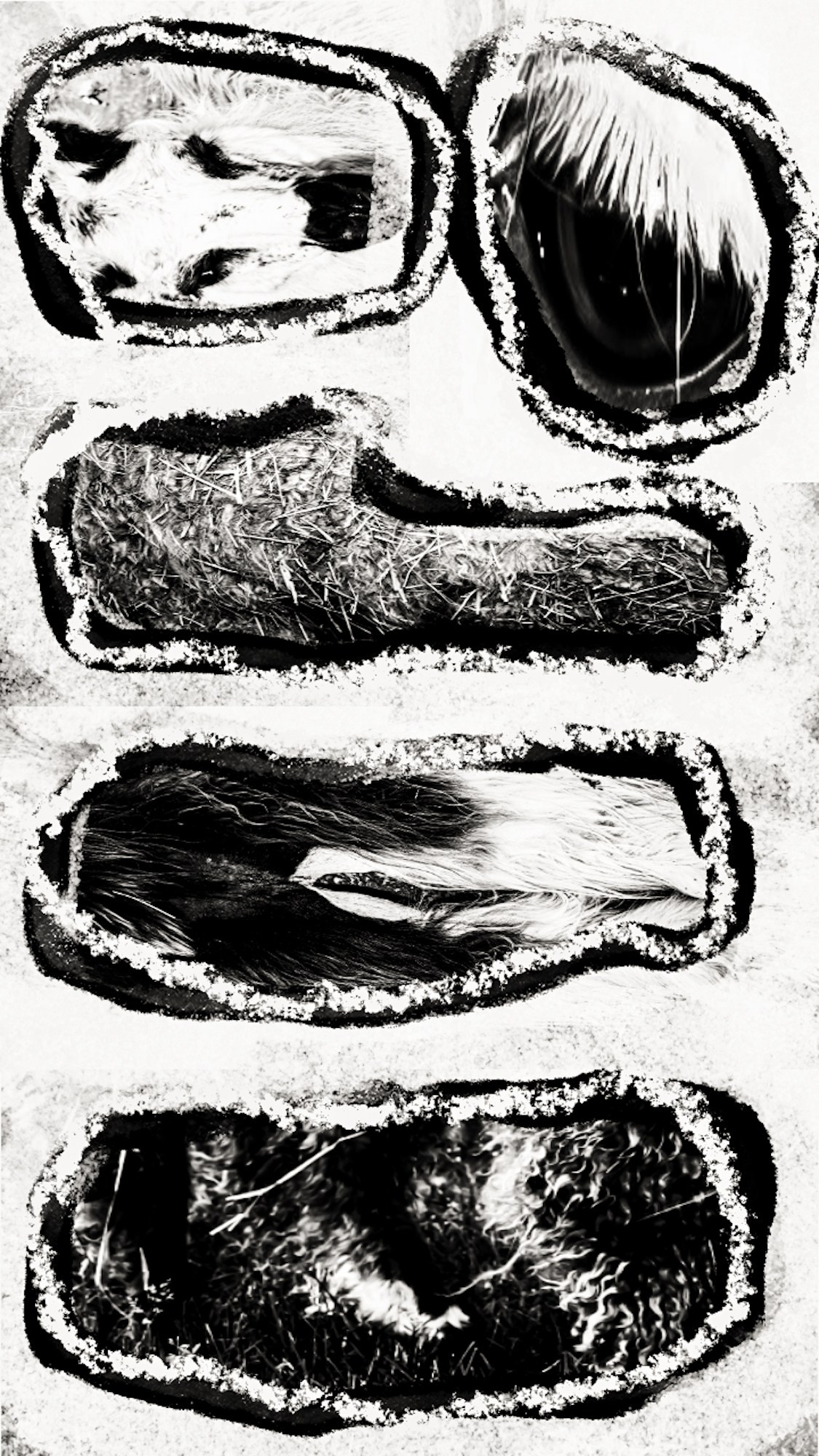 Photography’ Clipping. Ekaterina Tsurkina-Appina Photography Canada