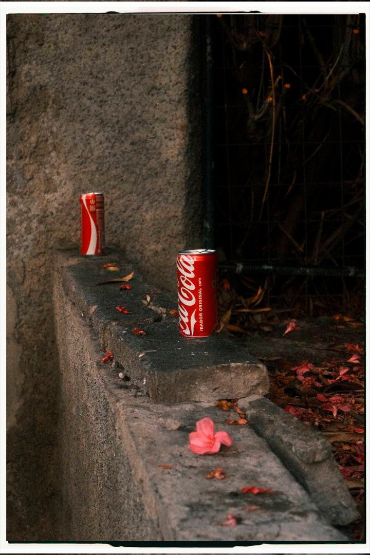 Мария и Назар. Portrait photographer in Madeira — Marina Shtukina