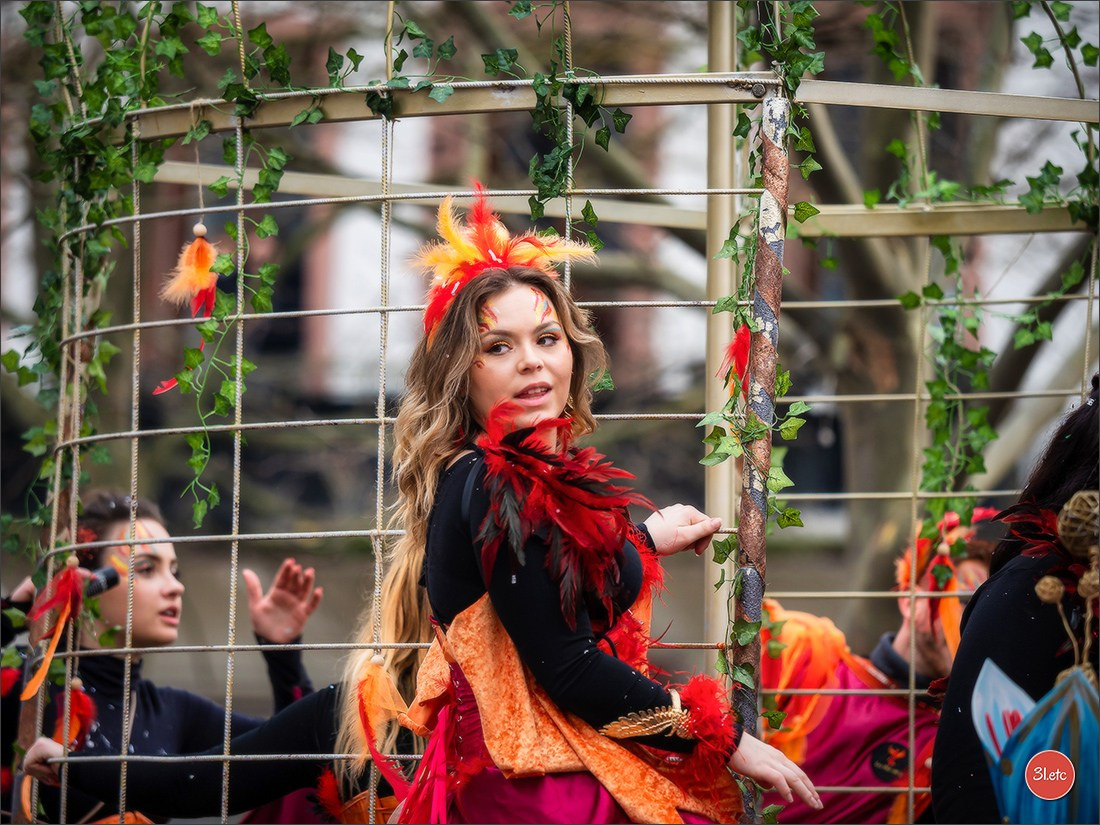 Traditional February carnival. Music, dancing, costume performances. C. Photographe à Strasbourg | Portraits, Studio, Enfants, Événements
