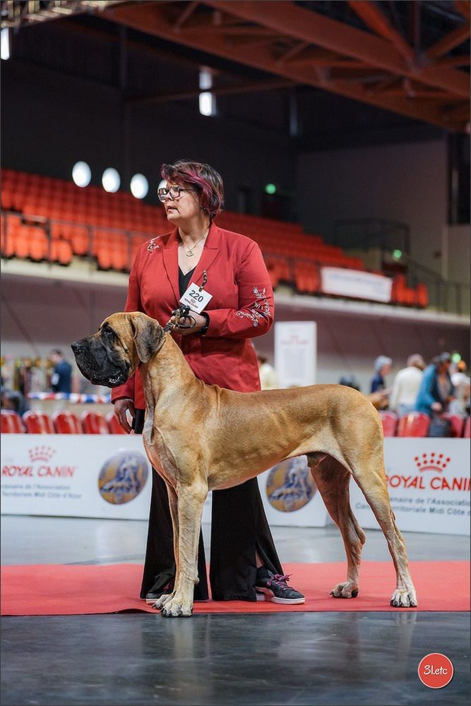 Expo canine 🇫🇷 Martigues 18-19/04/2026
