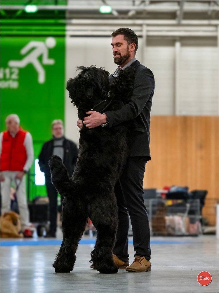 Exposition Canine à 🇫🇷 PARIS 12/01/2025. Photographe à Strasbourg | Portraits, Studio, Enfants, Événements