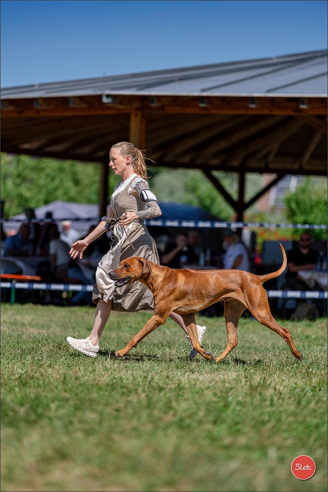 Dog Show - Hallbergmoos 🇩🇪 11-12/07/2026
