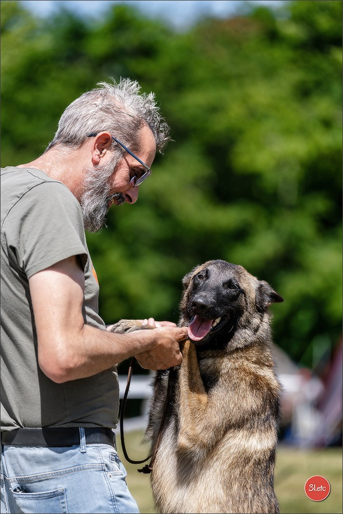 🇫🇷  CHARTRES  🇫🇷  2026  🇫🇷  Exposition Canine Nationale - Château des Boulard