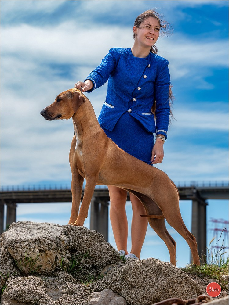 Expo canine 🇫🇷 Martigues  19-20/04/2025. Photographe à Strasbourg | Portraits, Studio, Enfants, Événements