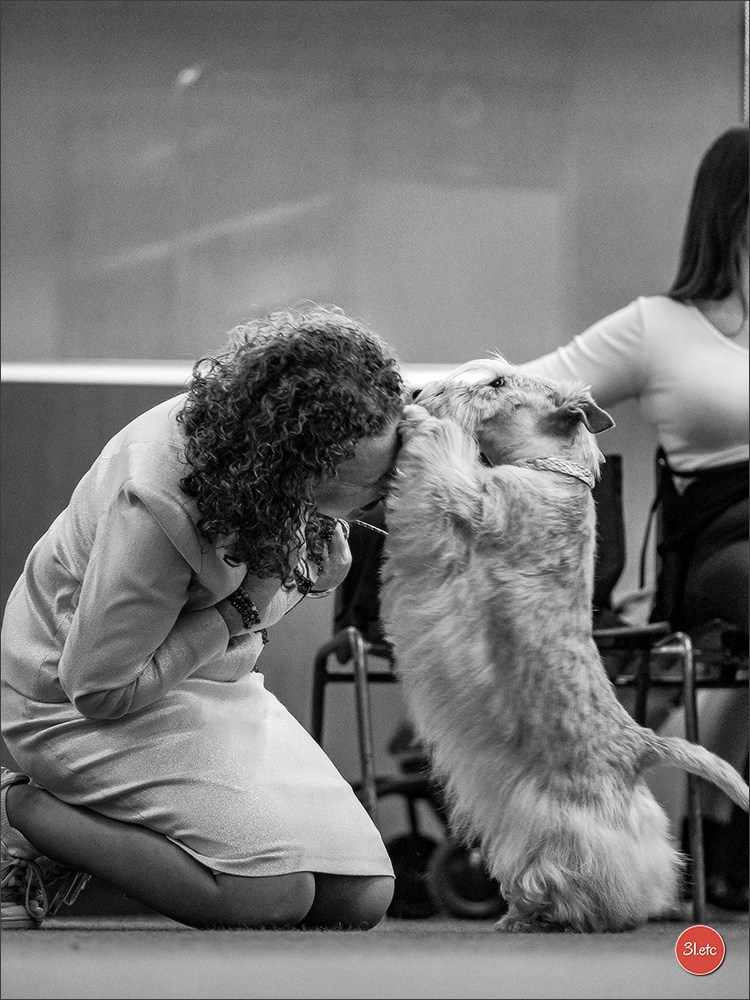 Photographie animalière. Photographe à Strasbourg | Portraits, Studio, Enfants, Événements