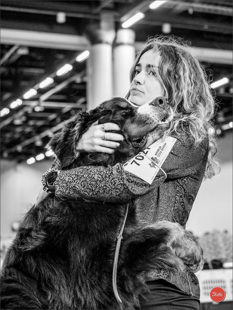 Photographie animalière. Photographe à Strasbourg | Portraits, Studio, Enfants, Événements