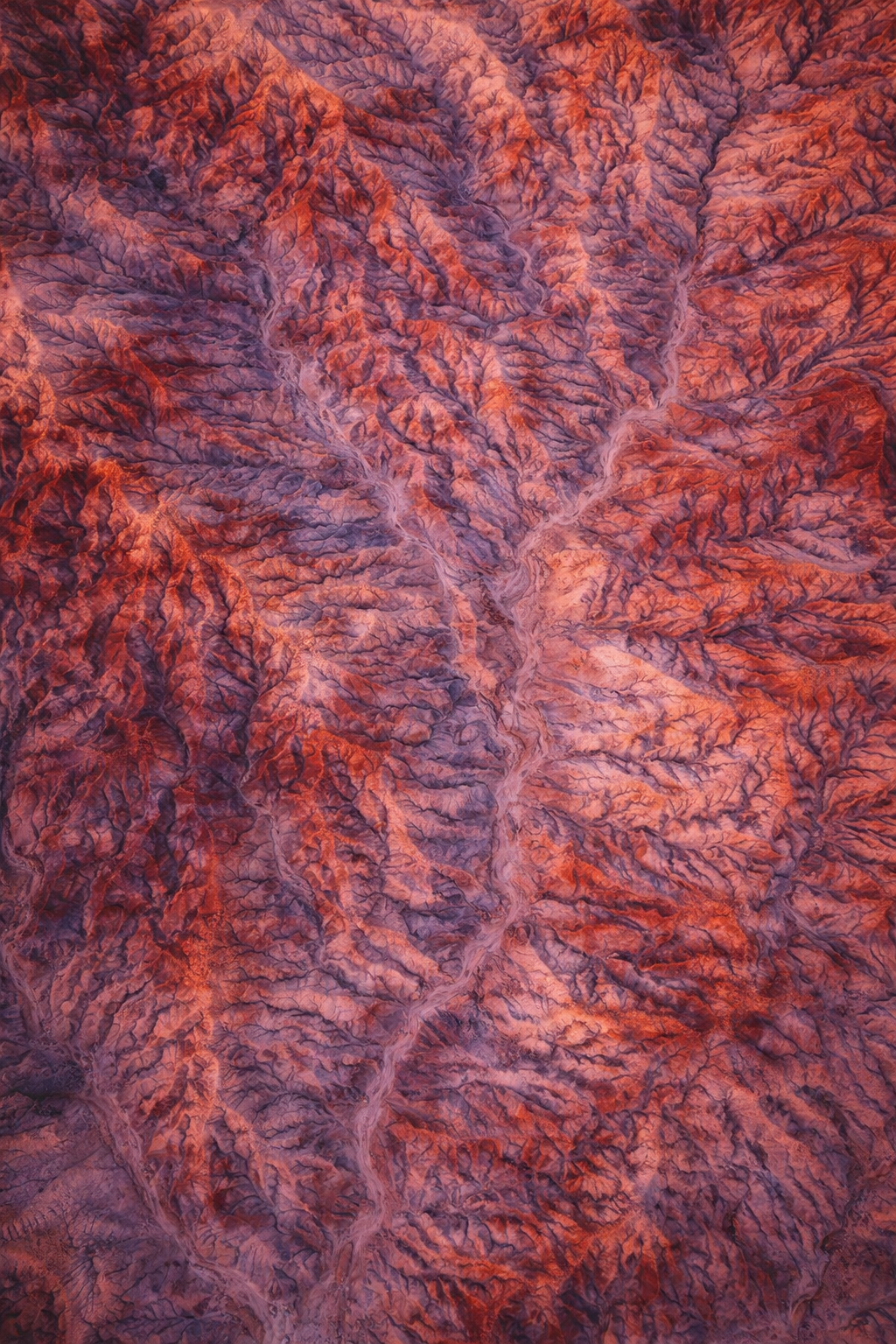 Eagle’s View — Arizona. Pet, Senior, Landscape, portrait studio, photographer in Miami and Sou