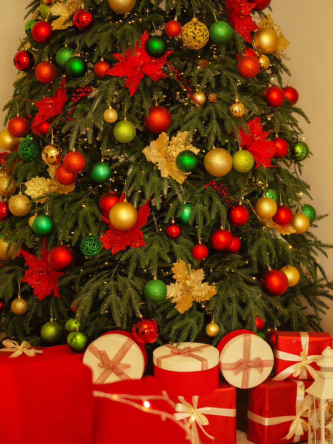 НОВЫЙ ГОД в студии. Фотограф в Ереване Карина Тоноян