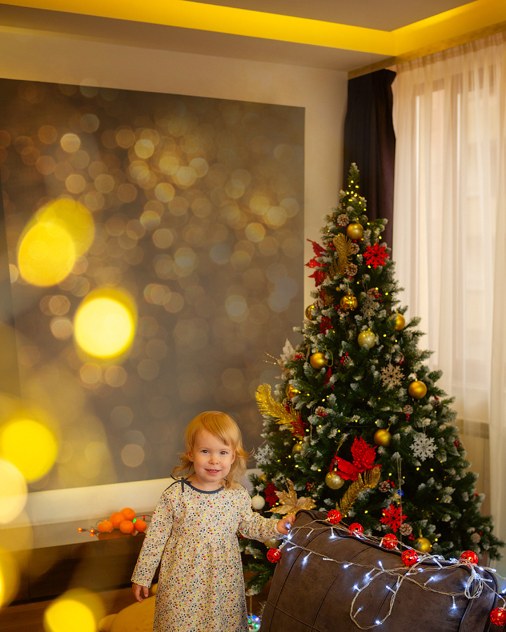 НОВЫЙ ГОД у Вас дома. Фотограф в Ереване Карина Тоноян