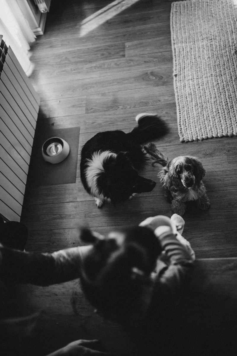 Natasa, Ema i Lazar — porodicno fotografisanje kod kuce. Deciji i porodicni fotograf u Beogradu Oksana Skendzic