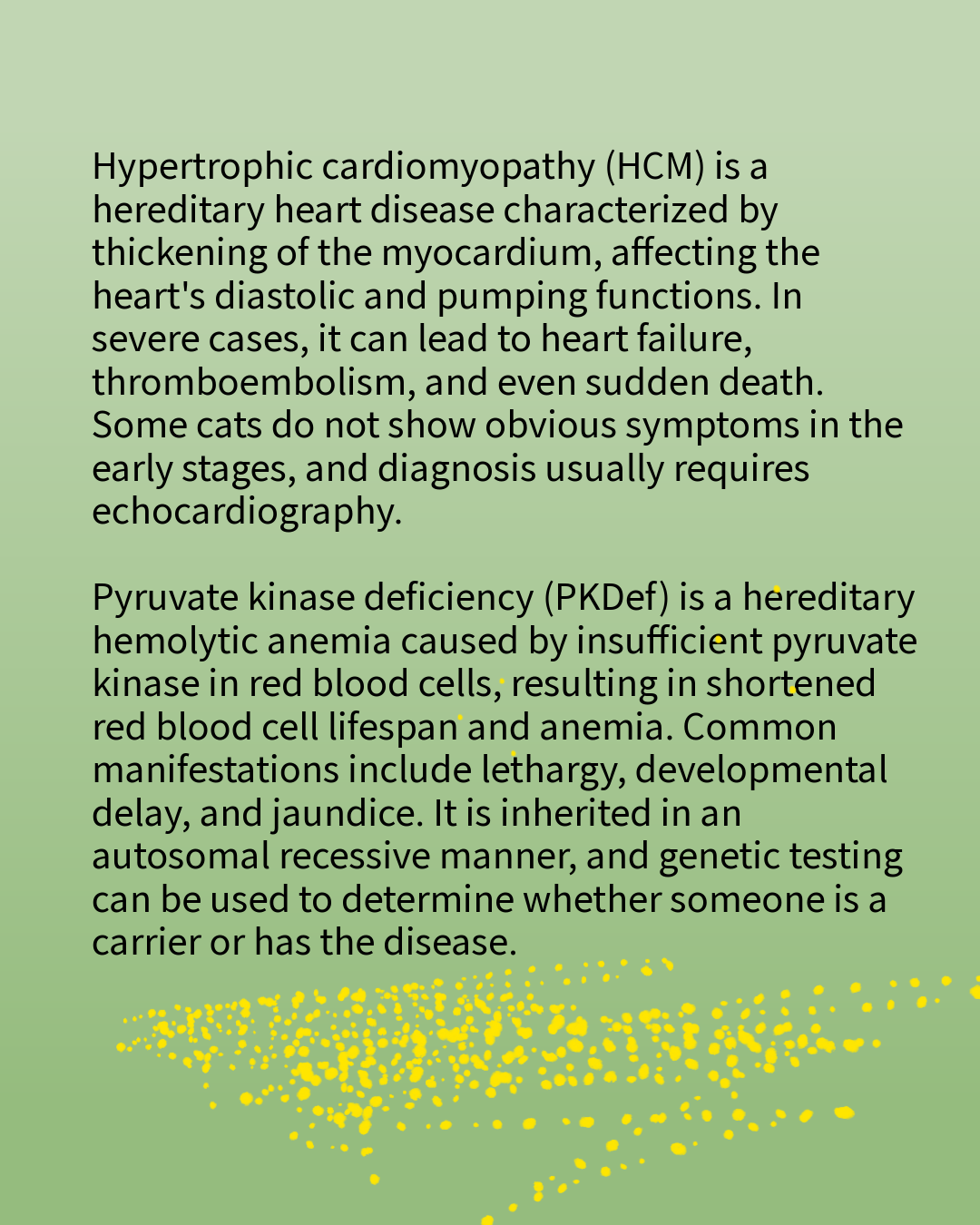 HCM&PKDEF