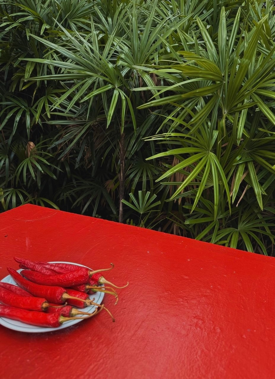Phuket_2024/2025. Photographer, photo artist Alena Novgorodtseva