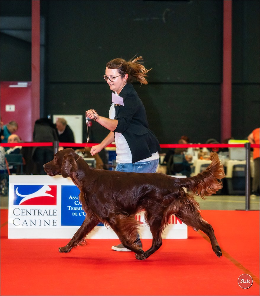 Photographie animalière. Photographe à Strasbourg | Portraits, Studio, Enfants, Événements