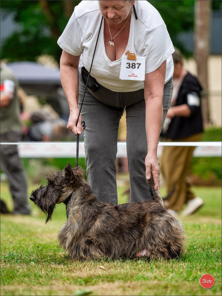 Expo canine Chartres  🇫🇷  15/06/2025. Photographe à Strasbourg | Portraits, Studio, Enfants, Événements