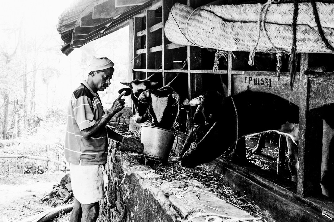 Its a passion to photograph the beauty of life itself. Murat Bostan Photography Documentary, Event and Portrait