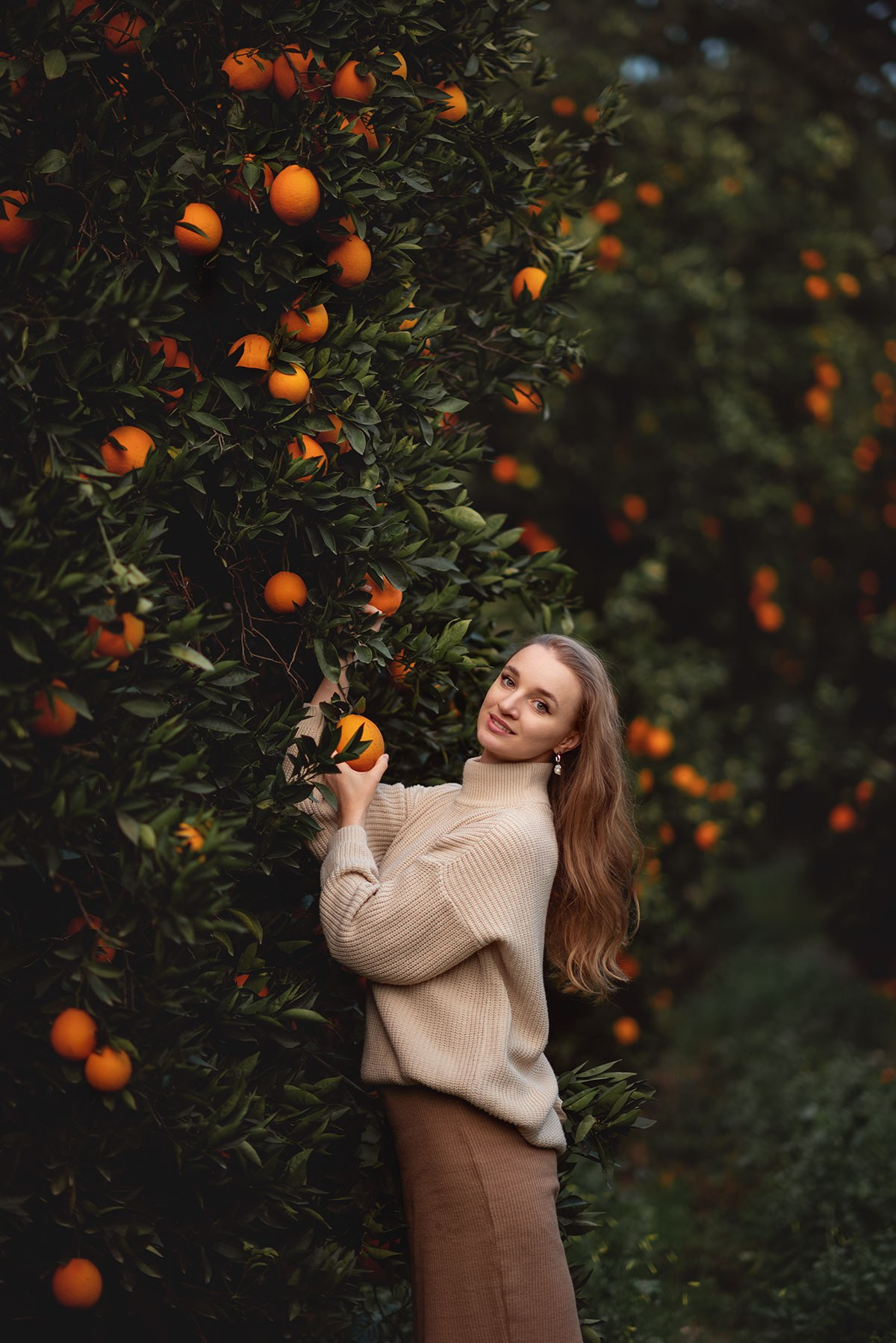 Апельсиновый сад в Анталии. Фотограф Анталия, Кемер, Белек, Сиде Дарья Кая