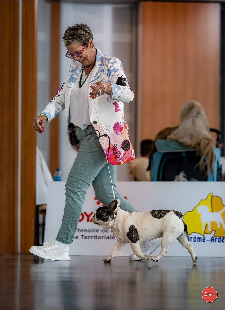 Expo canine 🇫🇷 Valence 02-03/05/2026