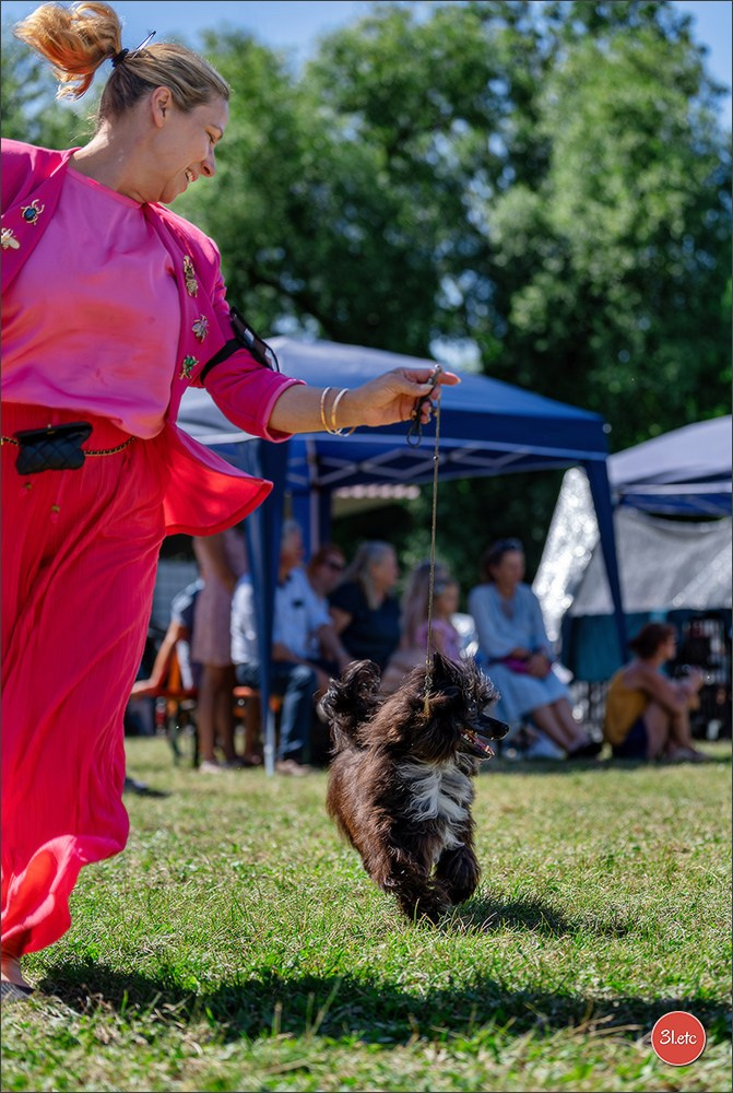 Dog Show - Hallbergmoos 🇩🇪 11-12/07/2026